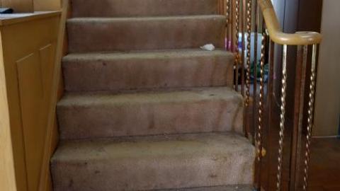 Let's Twist Again '19 - DSC04957.jpg