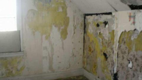 Gibrater#2 - Left-To-Rot-in-Gibraltar45.jpg