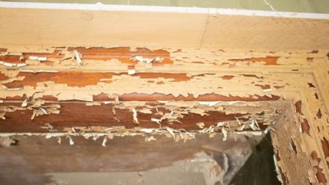 Photo from 1 down 3 to go