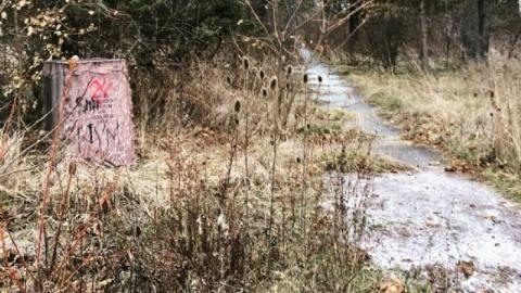 Photo from December 2019