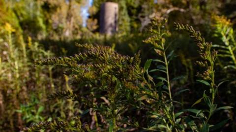 Photo from 1 down 3 to go