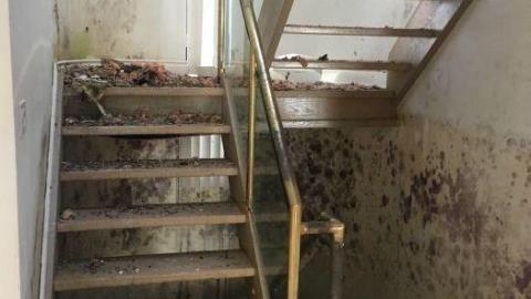 Tree Mansion 2K19 - IMG_5549.jpg