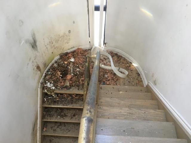 Tree Mansion - Markham, Ontario