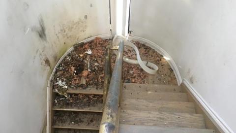 Tree Mansion 2K19 cover photo