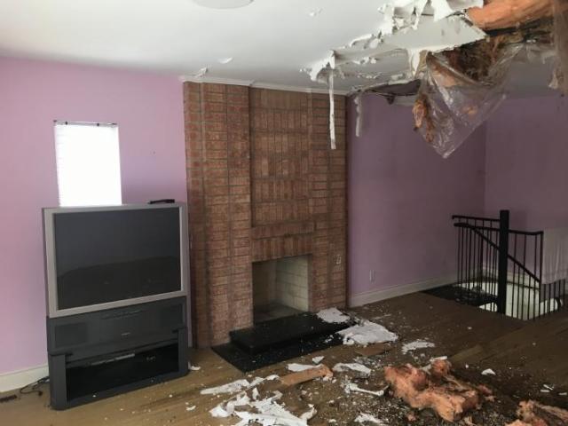 Tree Mansion photo 2