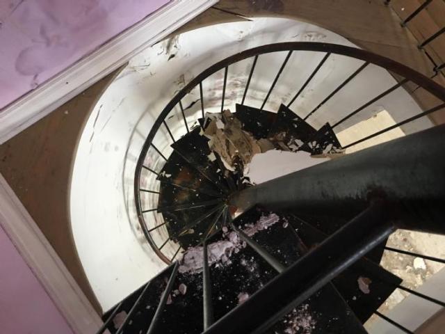 Tree Mansion photo 3