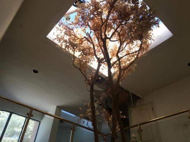 Tree Mansion photo 4