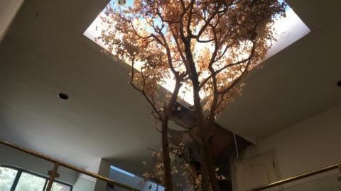 Tree Mansion 2K19 - IMG_5563.jpg