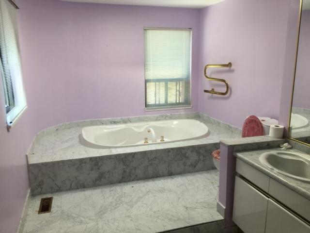 Tree Mansion photo 5