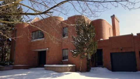 Fallen Leaves '19 - DSC05041.jpg