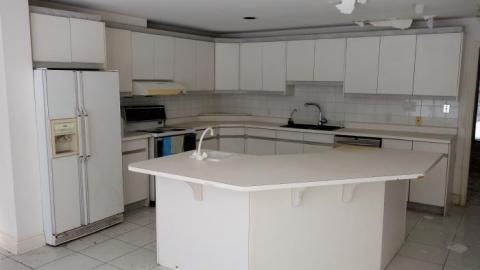 Fallen Leaves '19 - DSC05061.jpg