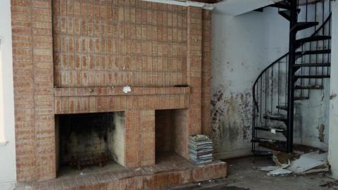 Fallen Leaves '19 - DSC05068.jpg