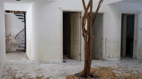 Fallen Leaves '19 - DSC05102.jpg