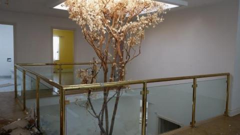 Fallen Leaves '19 - DSC05112.jpg