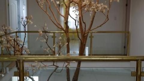 Fallen Leaves '19 - DSC05117.jpg