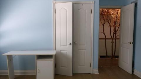 Fallen Leaves '19 - DSC05126.jpg