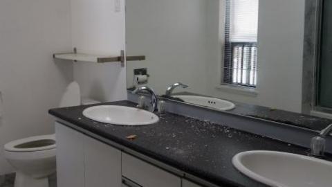 Fallen Leaves '19 - DSC05134.jpg