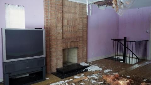 Fallen Leaves '19 - DSC05136.jpg