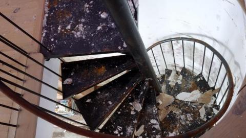 Fallen Leaves '19 - DSC05151.jpg