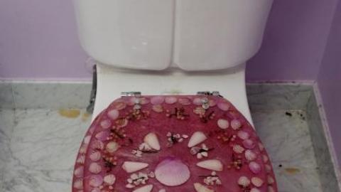 Fallen Leaves '19 - DSC05171.jpg