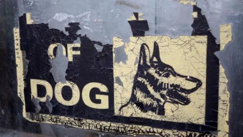 Titanic Stairs Mansion '19 - DSC05795.jpg