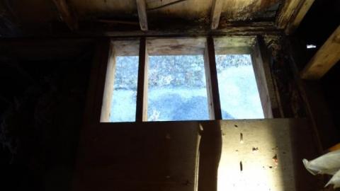 Food N Foam 2019 - 7DFFF01E-10B3-41AE-995F-A75067.jpg