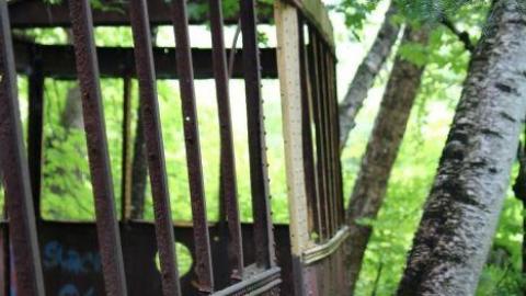 TTC 2019 - IMG_7312.jpg