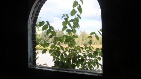 Motel Longbranch 2019 - IMG_7783.jpg