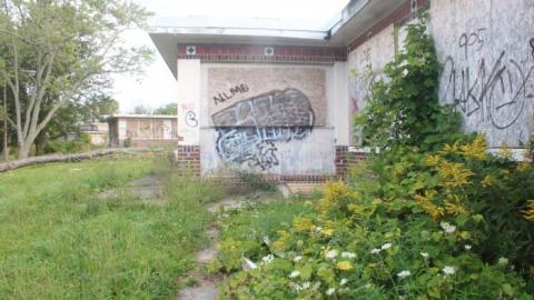 Camp 30 2019 - IMG_7510.jpg