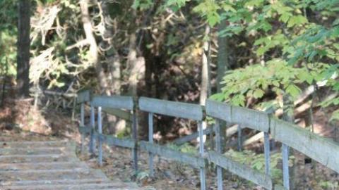 Photo from 2019 update