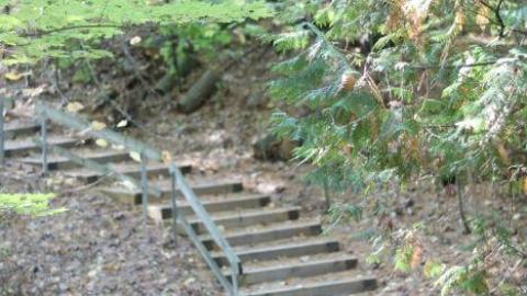 2019 update - Fort-Willow3.jpg