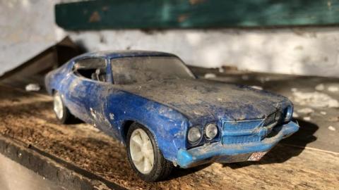 So much to see! - F803AAE0-843E-4640-B376-BA655D.jpg