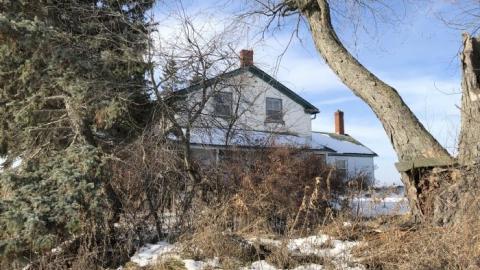 So much to see! - 6D5C180A-EB82-41C5-AD24-BA9649.jpg