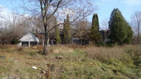 JCG Gallery - DSC01120.jpg