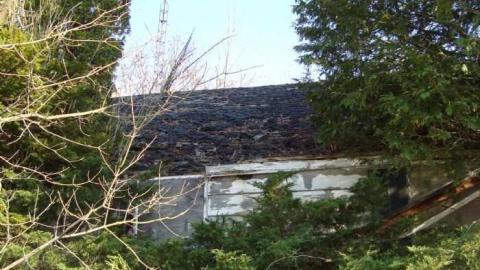 JCG Gallery - DSC01126.jpg