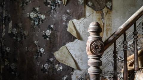 Banister Blues - DSC_0144.jpg