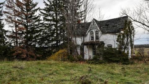 Banister Blues - DSC_0165.jpg