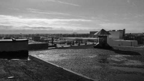 Beams - DSC_0190.jpg