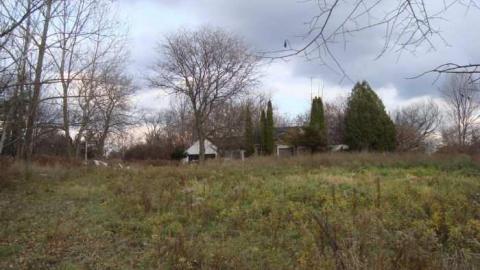 JCG Gallery - DSC01183.jpg