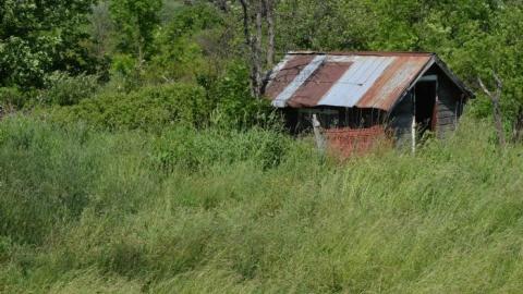 Mulgrave Mayhem - DSC_0278.jpg