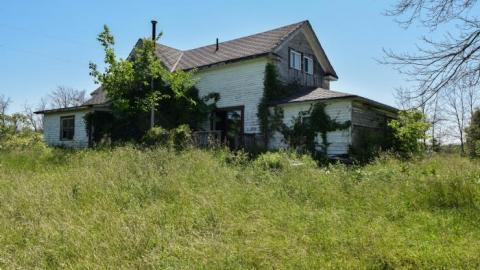 Photo from Mulgrave Mayhem