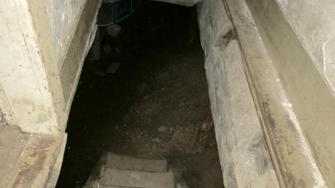 Still standing - CFA77CDE-30AA-4AA2-ABEA-12D796.jpg