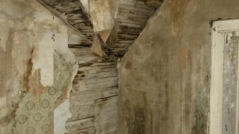 Still standing - CBCE0AB9-6889-4552-B299-6D8CE5.jpg