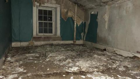 Still standing - 73F770A2-0C3F-4E2E-B20D-499355.jpg