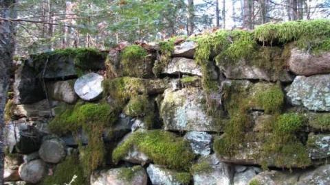 Photo from The Hotel