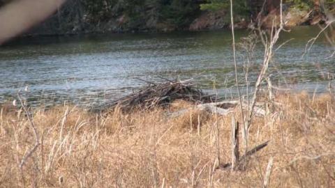 Photo from The Hotel