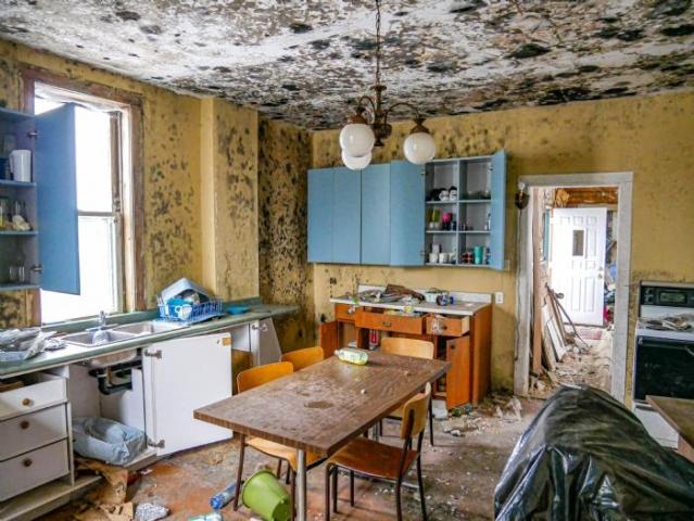 Moldy Yellow Farmhouse - Southgate, Ontario