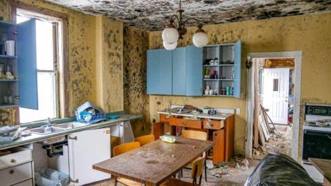 Moldy Yellow Farmhouse cover photo