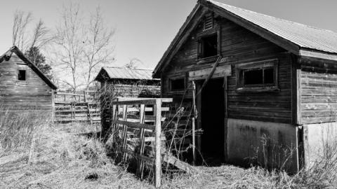 Barns of Angst - DSC_0218.jpg