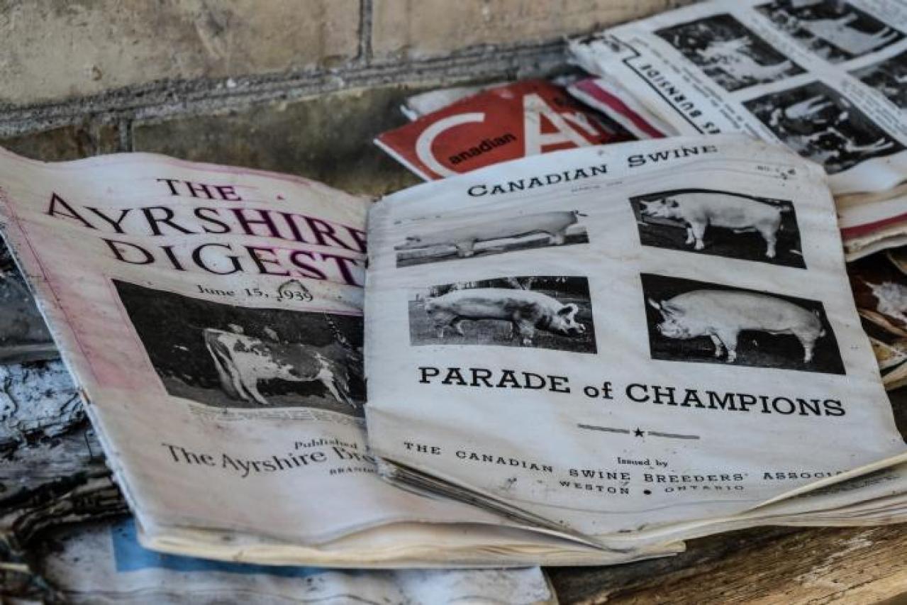 Barns of Angst - Catherines-Farm117.jpg